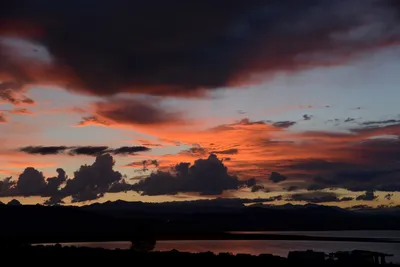 DSC_3320 (Large).JPG